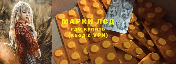 сатива Арсеньев