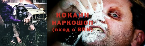 сатива Арсеньев