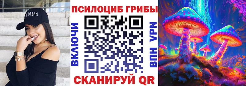 Псилоцибиновые грибы GOLDEN TEACHER  закладка  Россошь 